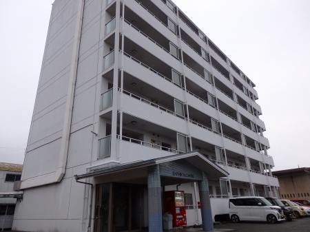ロイヤルフェニックス　501