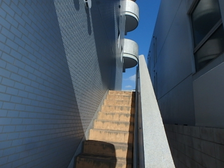 Rista Kushibe（リスタクシベ）905