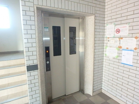 Rista Kushibe（リスタクシベ）905