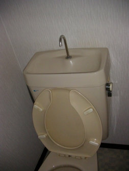 シンセリティ常盤