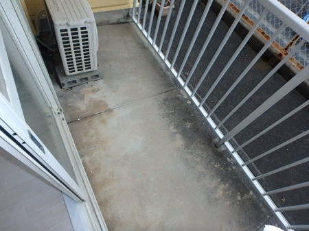 パシットレジデンツマークⅡ