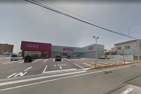 コスモス 北琴芝店
